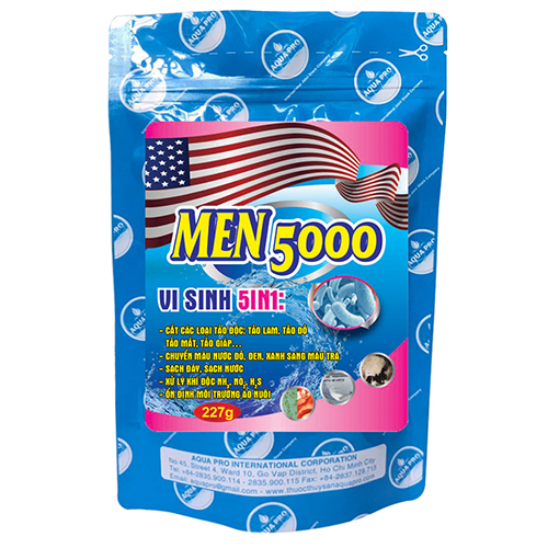 MEN 5000